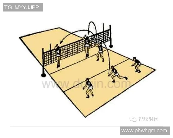 成都排球队排球战术解析与节奏体系的深度剖析