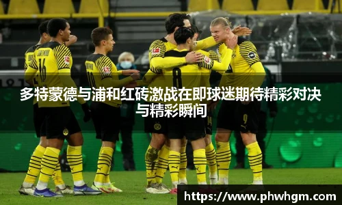 多特蒙德与浦和红砖激战在即球迷期待精彩对决与精彩瞬间