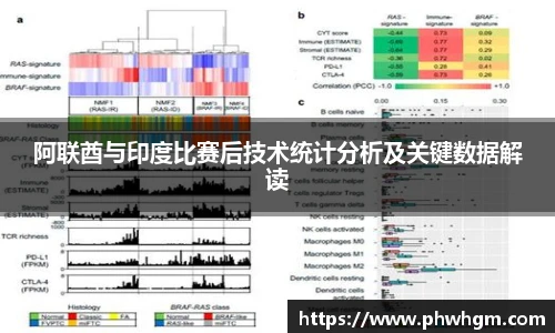 阿联酋与印度比赛后技术统计分析及关键数据解读